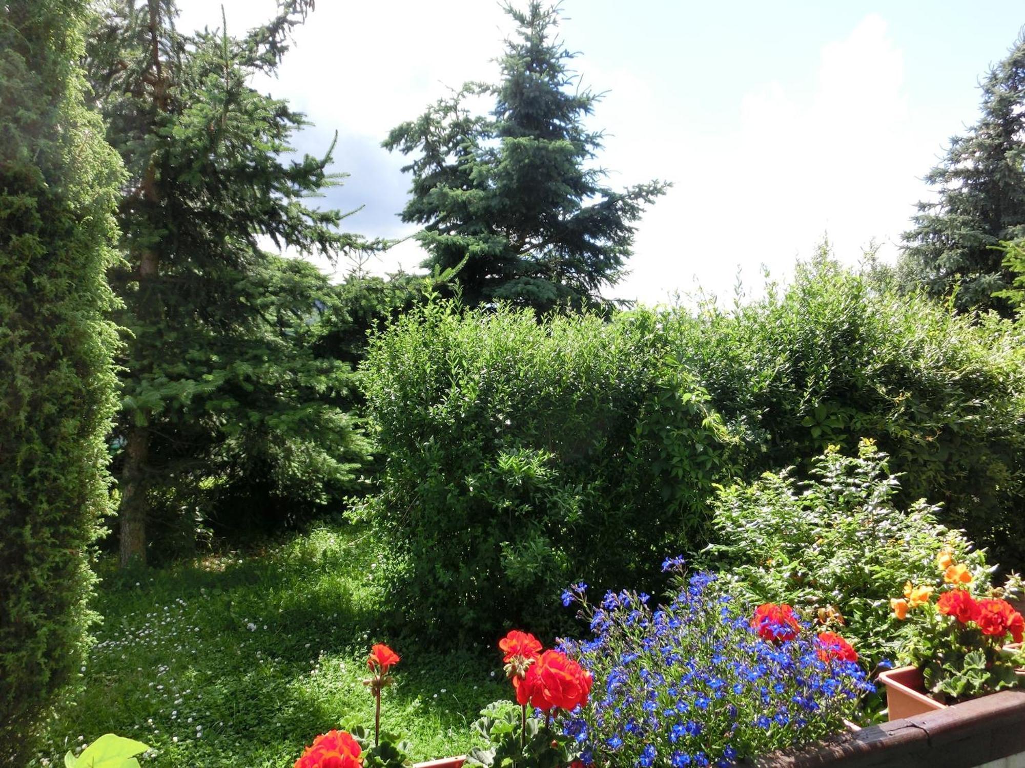 Holiday Home In Cattenstedt Harz With Garden Exteriér fotografie
